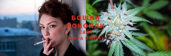 дурь Арсеньев