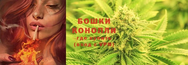 дурь Арсеньев