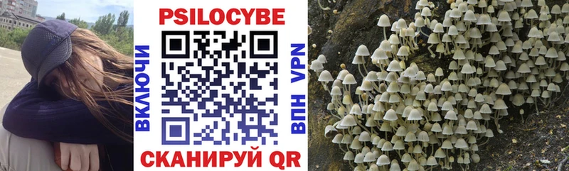 Псилоцибиновые грибы мухоморы как найти Усть-Джегута